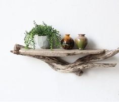 three vases are sitting on top of driftwood shelves, one is green and the other is white