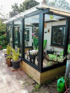 a small backyard area with several plants in it