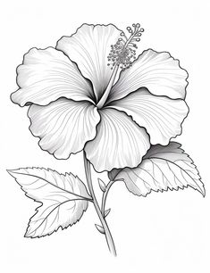 a drawing of a flower with leaves