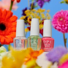 Our vegan #OPINatureStrong collection is in full bloom! Swipe thru to see what’s been sprouting–eco-conscious clients will love itttt. 🌼 Products: Top Coat Botanical Base Coat #AKickInTheBud #OPI #OPIObsessed #Nails #Mani #Manicure #VeganMani #VeganNailPolish #SpringNails #SpringMani #SpringNailPolish Spring Colorful Nails, Nail Concept, Mc Nails, Spring Nail Polish, Cool New Gadgets, Nail Polish Sets, Makeup Photography, Nail Polish Collection