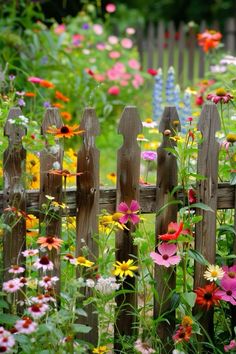 a wooden fence surrounded by colorful flowers