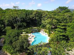 an aerial view of a pool surrounded by trees