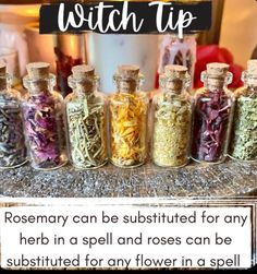 Angelica Herb, Witch Knowledge, Witch Houses, Witchcraft Stuff, Witchy Spells, Night Creatures, Witchcraft Spells For Beginners, Witch Tips, Witchy Tips