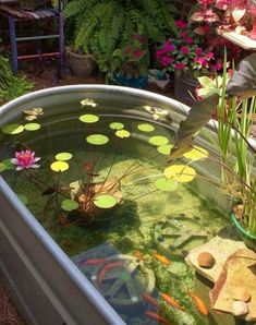 a fish pond filled with lots of water lilies