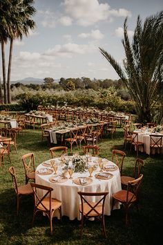 an outdoor wedding reception setup with tables and chairs set up in the grass, surrounded by palm trees