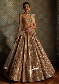 Made to Order/Measurement/Custom Order Lehenga - Color : Golden - Fabric : Embroidered Net - Fully flared paneled lehenga - Embroidered  Blouse -  Net Dupatta with Gold Border - Drawstring closure with Tassels - - It can be customize in any design or size  PLEASE NOTE: BUYERS ARE RESPONSIBLE FOR ANY CUSTOMS AND IMPORT TAXES THAT MAY APPLY. This is a made to order product. If you opt for 'Made To Measurement Option', we will provide a measurement template and you can share the measurements likewi Beige Lehenga Outfit, Indian Choli Designs Blouses, Lehenga For Wedding Party, Shimmer Indian Outfits, Lehenga Designs Mirror Work, Blouse Lehnga Designs, Mirror Work Indian Outfit, Engagement Lehenga For Bride Indian, Mirror Lehenga Designs