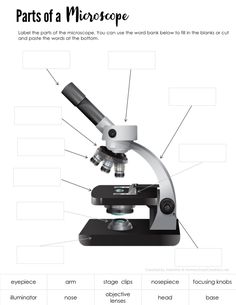 the parts of a microscope are shown in this diagram, with labels on each side