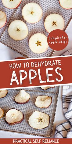 how to dehydraate apples on a cooling rack with text overlay reading how to dehydraate apples practical self reliance