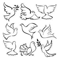 several different types of doves flying in the air