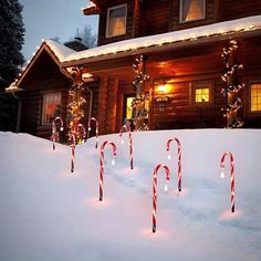 Candy Cane Solar Lights Cane Lights, Lawn Lights, Set Decor, Pathway Lighting, Outdoor Christmas Lights, Outdoor Lawn, Garden Pathway, Incandescent Lighting, Lawn Decor