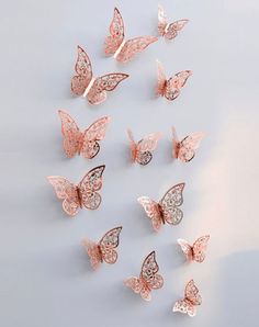 a group of pink butterflies on a white background with the letter c in black letters