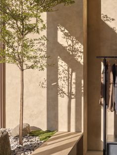 a tree in the corner of a room with clothes hanging on racks and rocks below