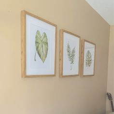 three framed pictures hang on the wall above a bed