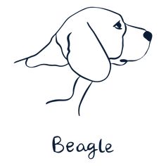 Dog breed Beagle animal PNG Design Beagle Drawing Easy, Beagle Outline, Beagle Drawing, Beagle Silhouette, Shoe Painting, Dog Outline, Animal Png, Memorial Tattoos, Design Editorial