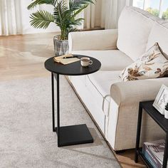 a living room with a couch, coffee table and potted plant on the corner