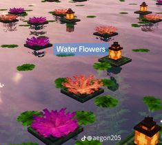 the water flowers are floating in the pond