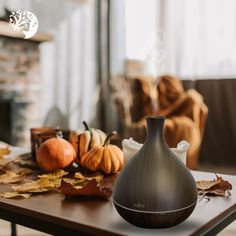 Are you in search of one of the BEST essential oil diffusers? We’ve got it! Visit our shop and grab yourself one (or two) Anjou Essential Oil Diffusers! PLUS, In honor of pumpkin spice and everything nice season, If you order a diffuser, a 10ml bottle of my pumpkin spice essential oil (which I blend myself) will be included for free! Don’t miss out, order yours: https://handmadenaturals.com/products/anjou-essential-oil-diffuser #handmadenaturals #essentialsoils #diffuser #pumpkinspice #pumpki... Best Essential Oil Diffuser, Pumpkin Spice And Everything Nice, Oil Well, Pumpkin Spice Season