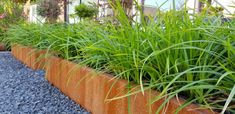 some plants are growing in a long metal planter