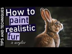 an image of a rabbit with the words how to paint realistic fur in acrylics