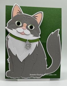 a gray and white cat with a green collar on it's neck is standing in front of a card