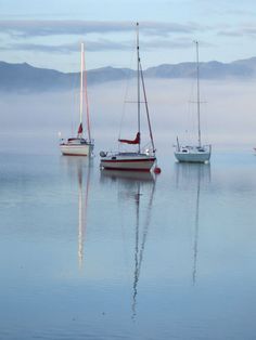 three sailboats floating in the water on a foggy day