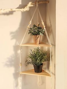 three shelves with plants on them hanging from the wall