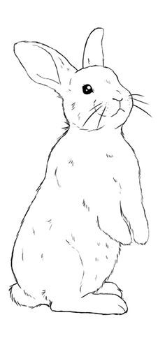 a drawing of a rabbit sitting on its hind legs