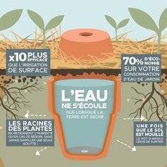 an info poster explaining how water is used to grow plants and other things in the ground