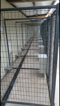 several cages are lined up in an empty room