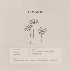 the words cosmos are written in black and white on a light gray background