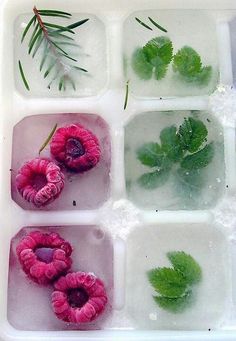 four trays filled with different types of flowers and leaves in ice cubes on top of snow