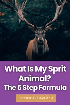 a deer with antlers and the words what is my spirit animal? the 5 step formula