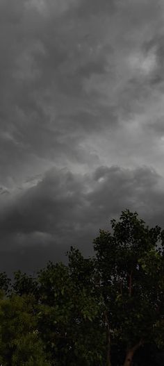 an airplane is flying in the cloudy sky above some trees and bushes on a dark, overcast day