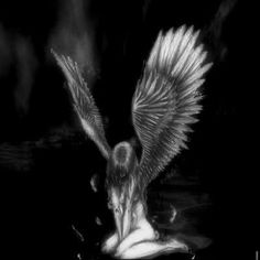 a black and white photo of an angel floating in the water with its wings spread out