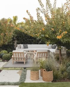 an outdoor living area with couches and plants