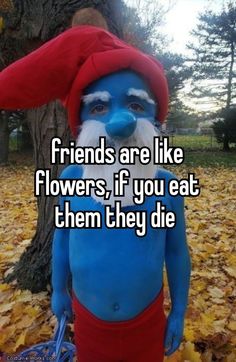 a person in blue and red with the words friends are like flowers if you eat them they