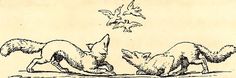 an image of two foxes playing with a bird