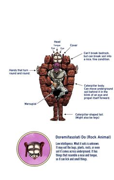 the anatomy of an animal's body and its parts