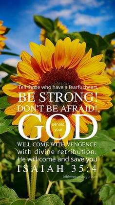 a sunflower with the words, be strong don't be afraid god will come with