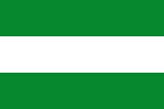 a green and white flag is shown in this image