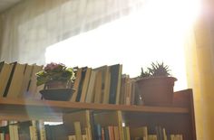 a bookshelf filled with lots of books and potted plants on top of it