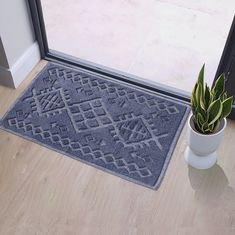 a potted plant sitting next to a door mat