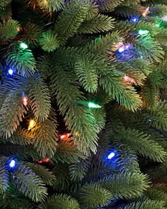 a close up view of a christmas tree with lights on it's branches and green needles