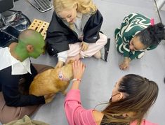 several people sitting on the floor petting a cat