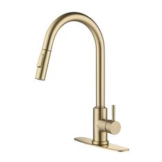 an image of a kitchen faucet with the pull out sprayer in brushed brass