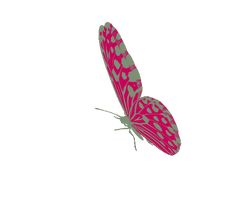 a pink and green butterfly flying in the sky with its wings spread out to look like it