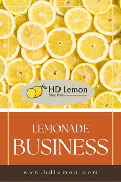 Lemonade Lemonade Tent Business, Lemonade Food Truck Ideas, Lemonade Business Names, Lemonade Trailer Food Truck, Mobile Lemonade Trailer, Lemonade Stand Names