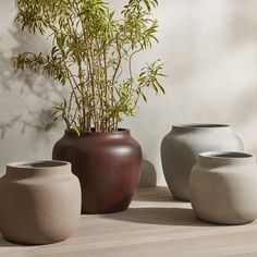 three vases sitting on top of a table next to a potted bamboo plant