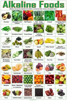 Alkaline Foods poster, Alkaline vegetables, Alkaline Fruits, Dr Sebi food list | eBay