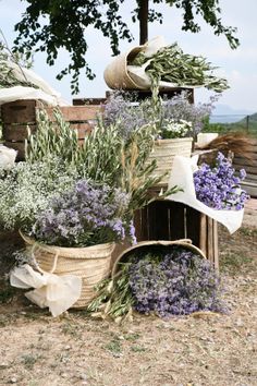 lavenders are in baskets on the ground